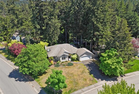 An aerial view of a house with a grey roof surrounded by tall green trees and a lawn.